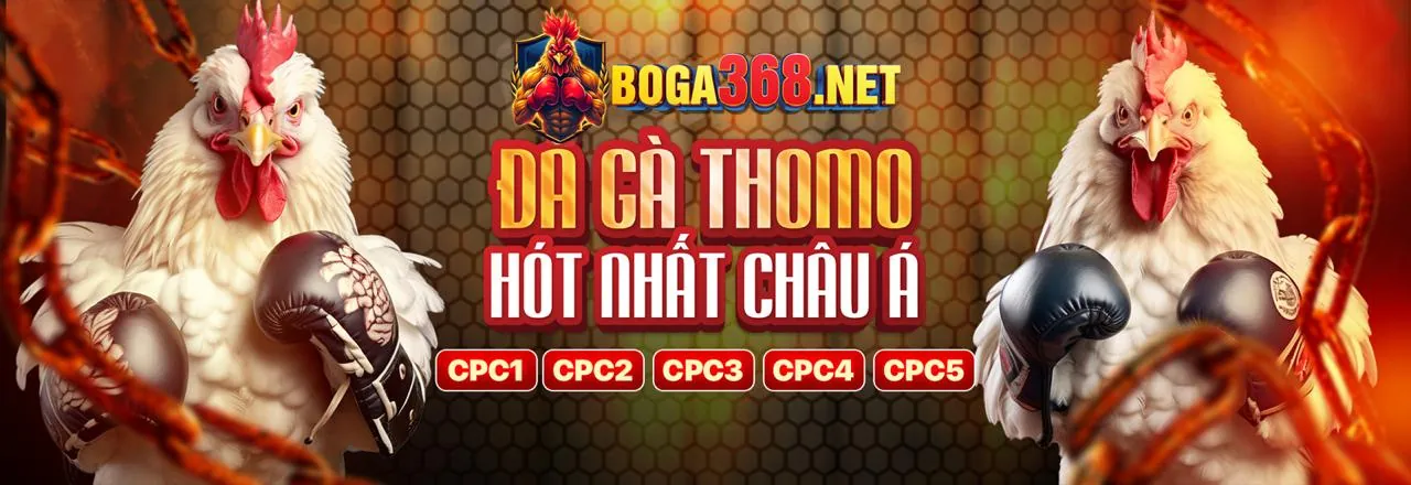 Đá gà trực tuyến Fun88 Banh