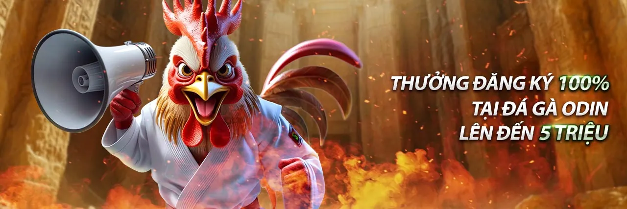 Hình ảnh chào mừng trang Câu hỏi thường gặp Fun88 với các câu hỏi và giải đáp